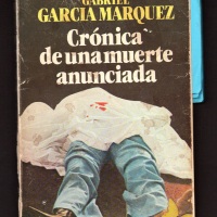 Ángela Vicario -la escritora- en “Crónica de una muerte anunciada” de Gabriel García Márquez